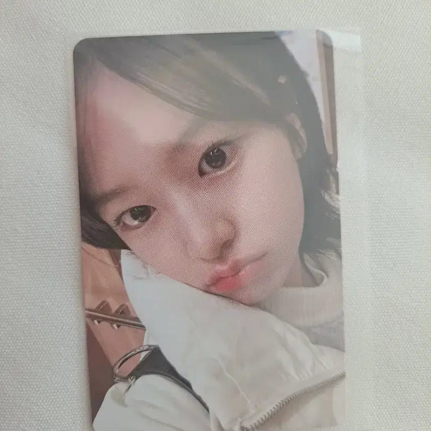 아이브 유진 안유진 포카 말레이시아 특전