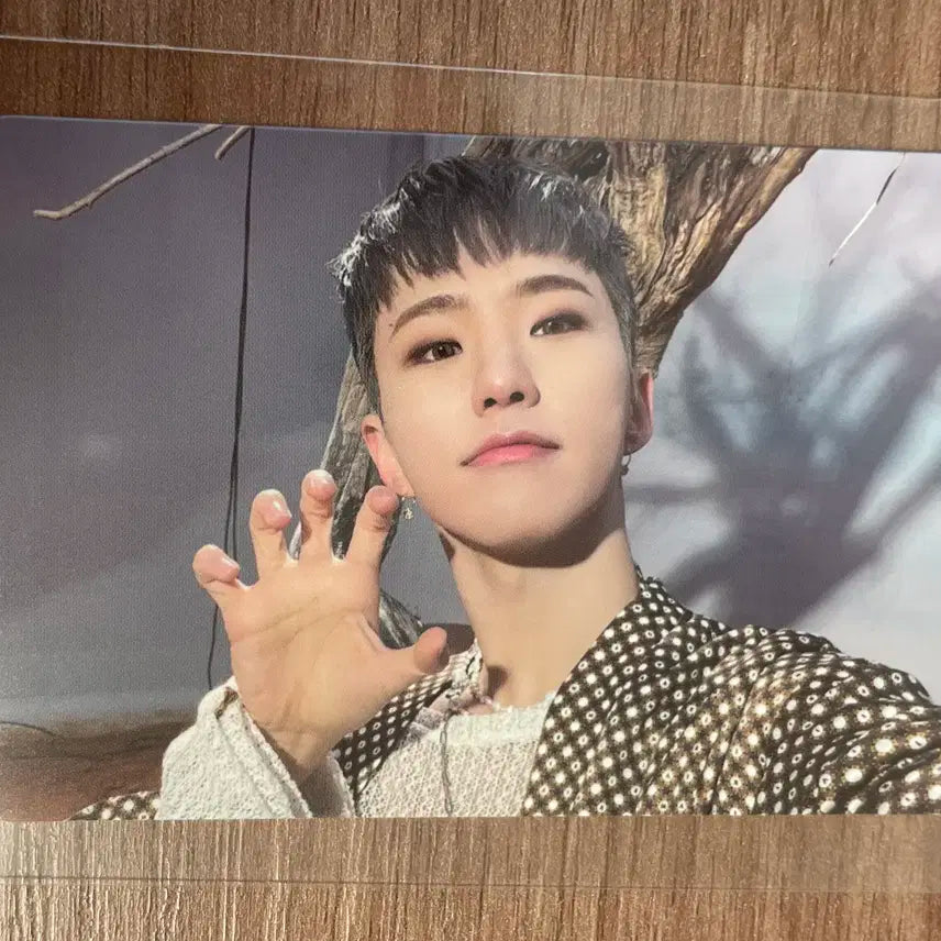 세븐틴 호시 포토카드