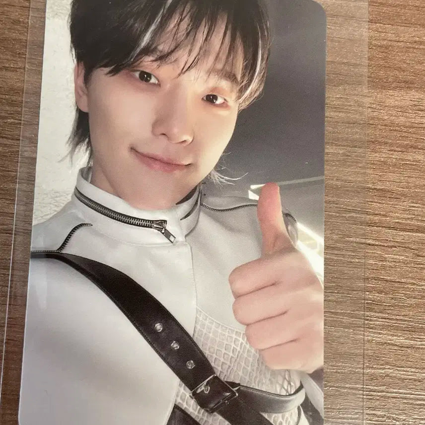 세븐틴 디노 포토카드