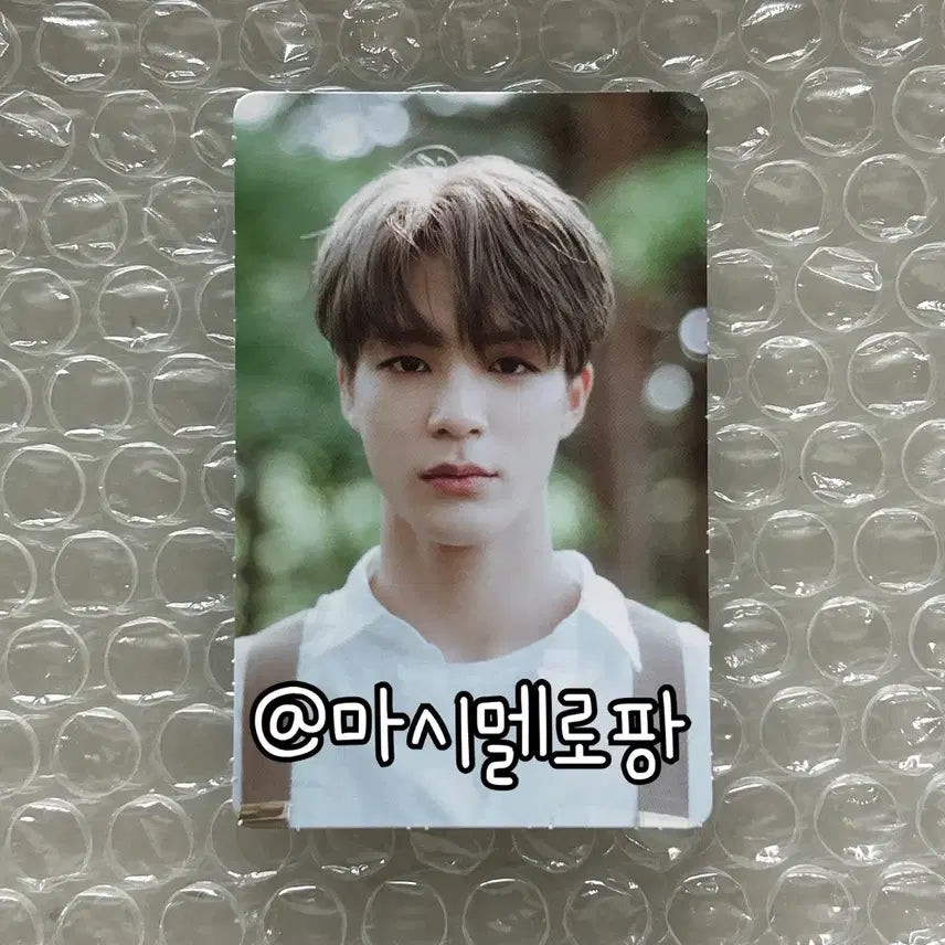 엔시티드림 dream a dream 포토북 제노 포카 포토카드 컨포