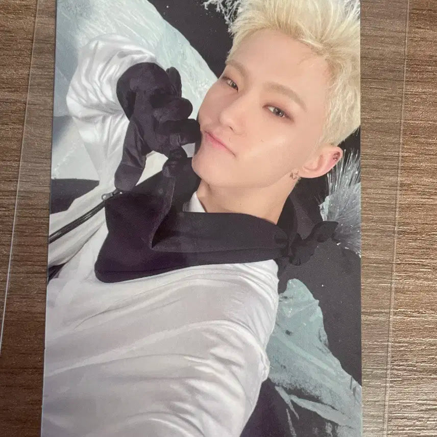 세븐틴 호시 포토카드 일괄