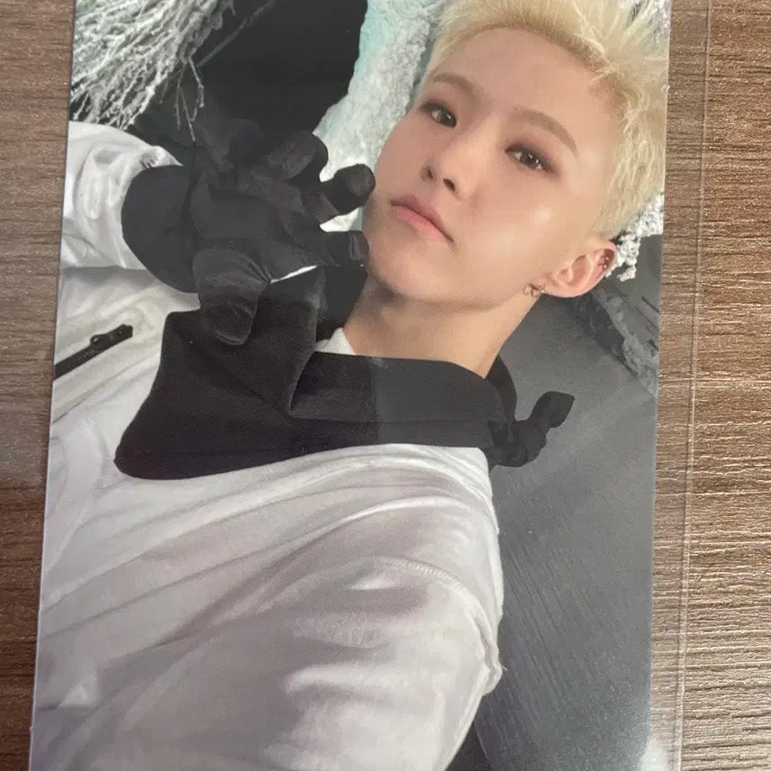 세븐틴 호시 포토카드 일괄