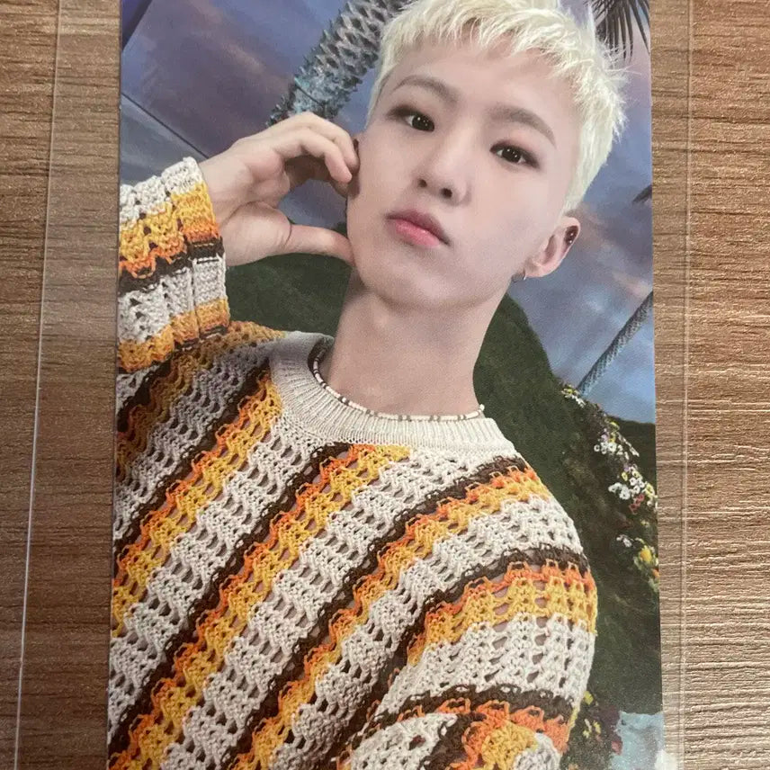 세븐틴 호시 포토카드