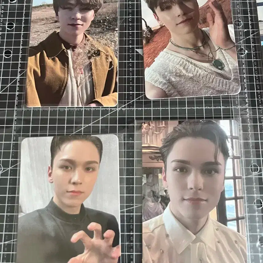 세븐틴 버논포카 일괄