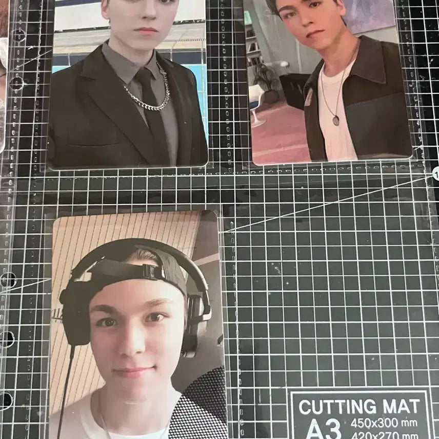 세븐틴 버논포카 일괄
