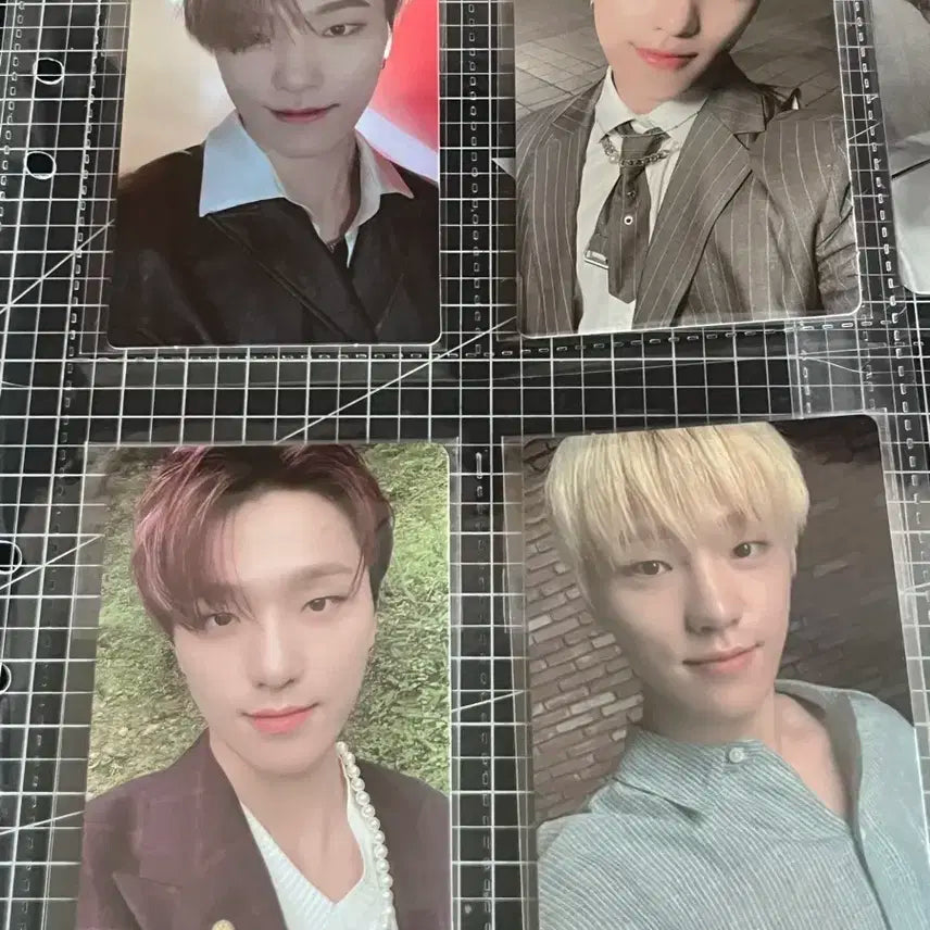 세븐틴 디노포카 일괄