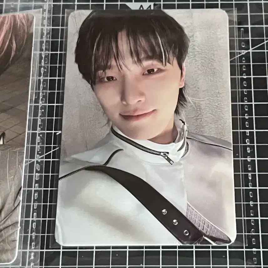 세븐틴 디노포카 일괄