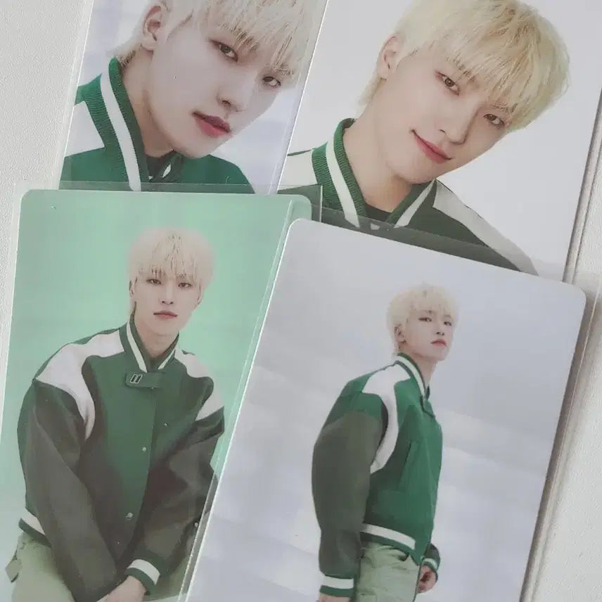 세븐틴 디노 팔로우 트레카 일괄