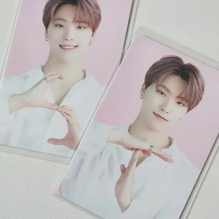 세븐틴 셉카페 디노 트레카 일괄