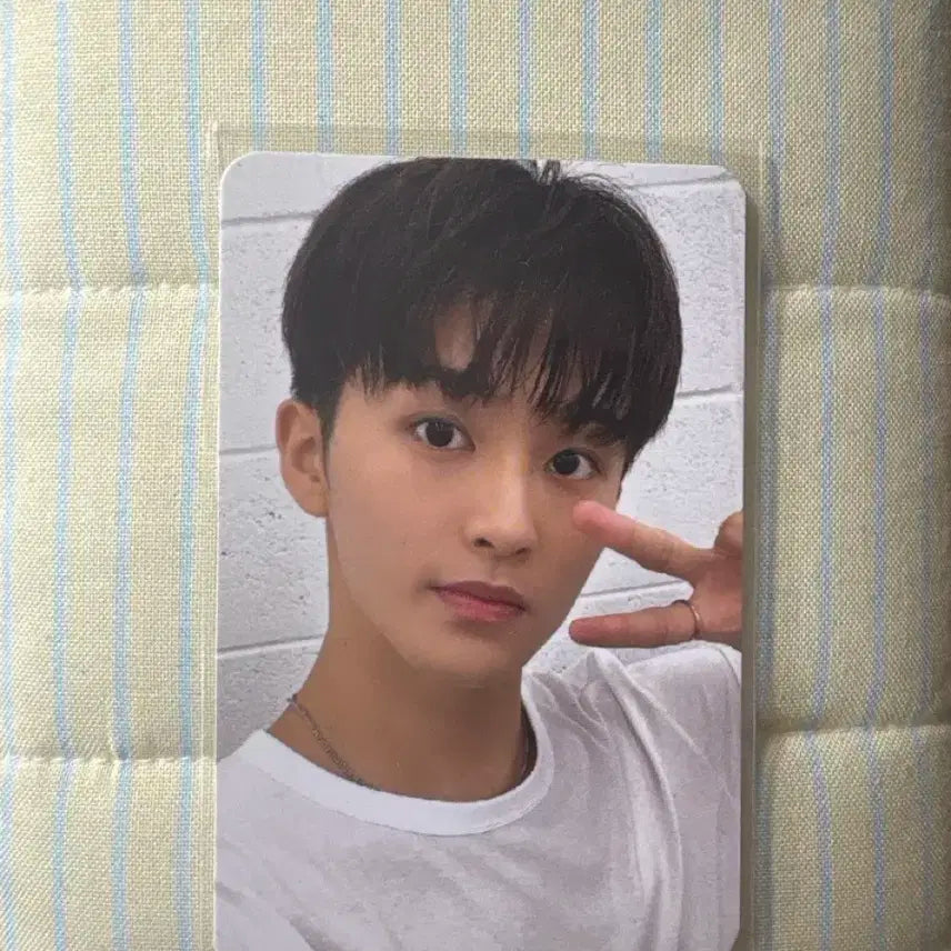 2022 시그 마크