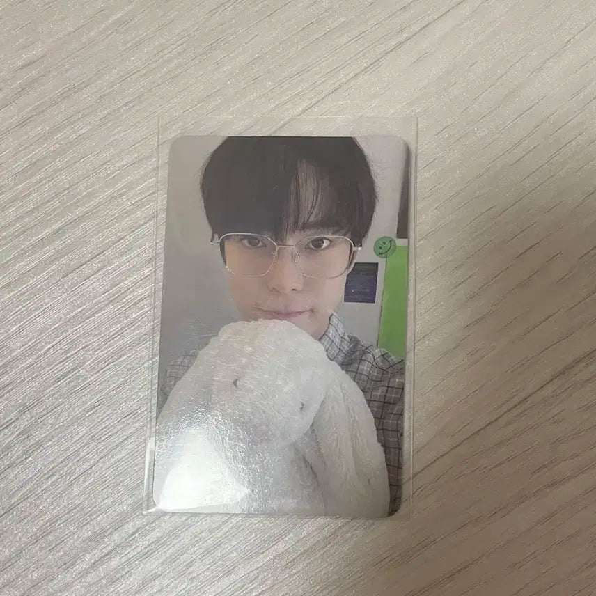 NCT 토끼도영 판매