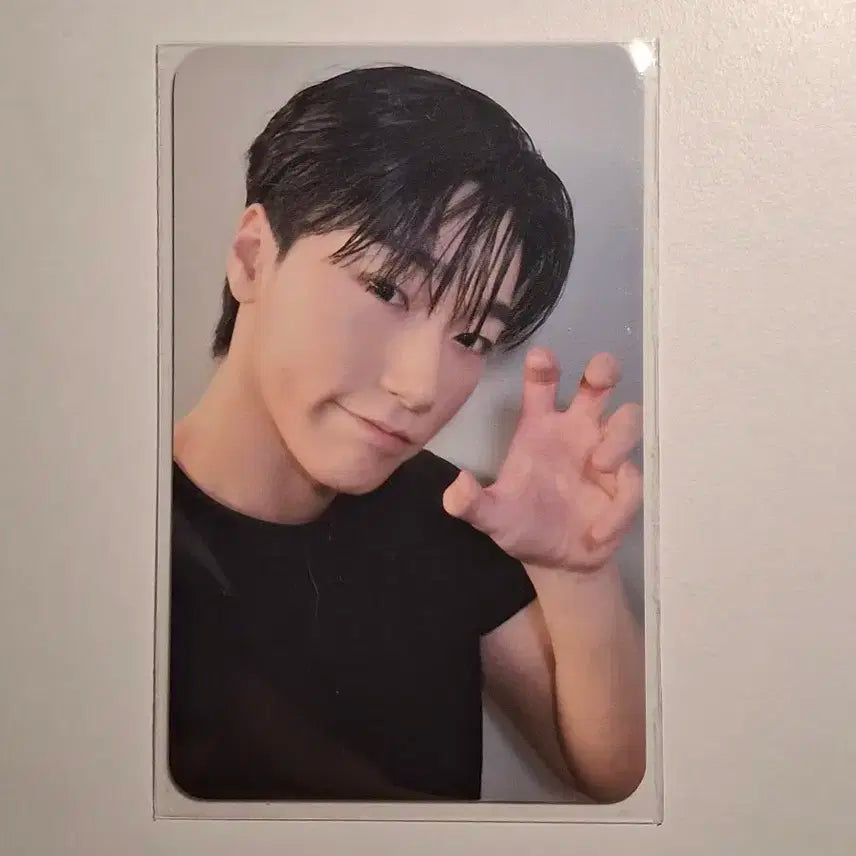 에이티즈 최산 콘서트 포카