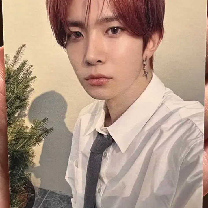 엔하이픈 디아이콘 희승 포카 판매 양도