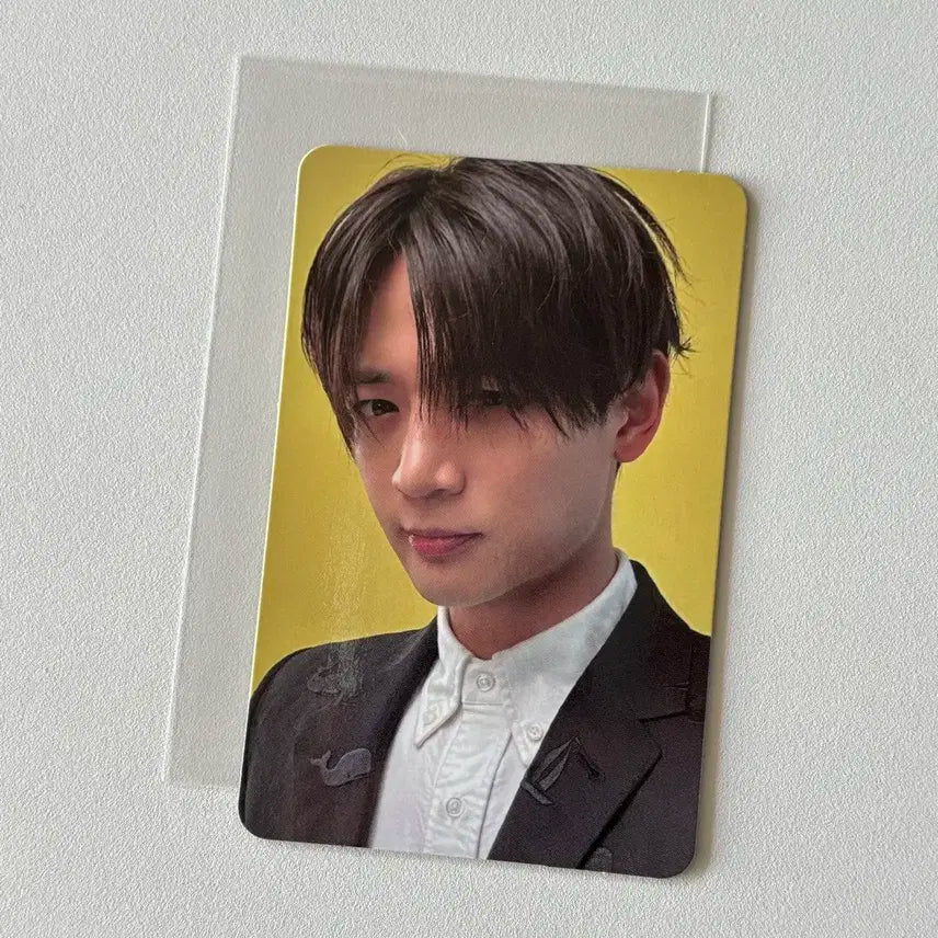 샤이니 민호 하드 앨범 메이커 포카 포토카드