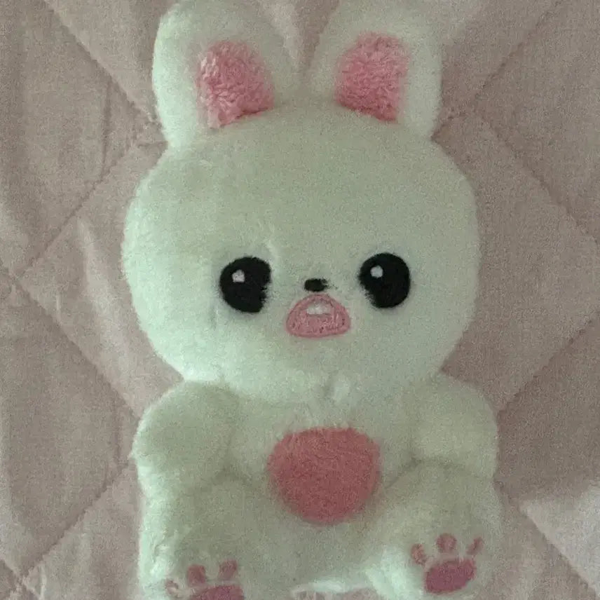앨포 덤)아이브 장원영 앉니녕 양도
