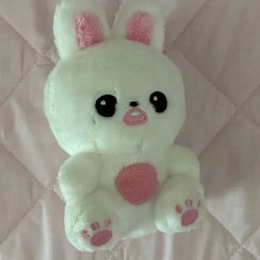 앨포 덤)아이브 장원영 앉니녕 양도