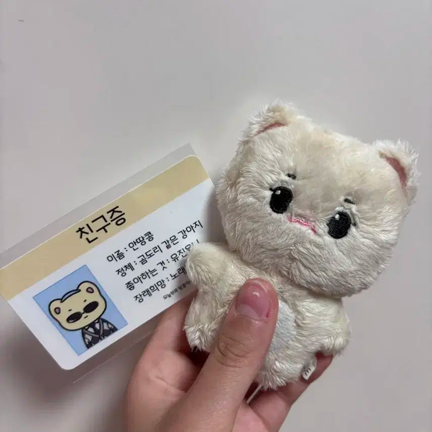 안땅콩