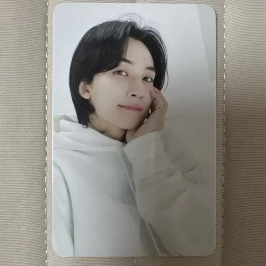 세븐틴 정한 고잉 양도