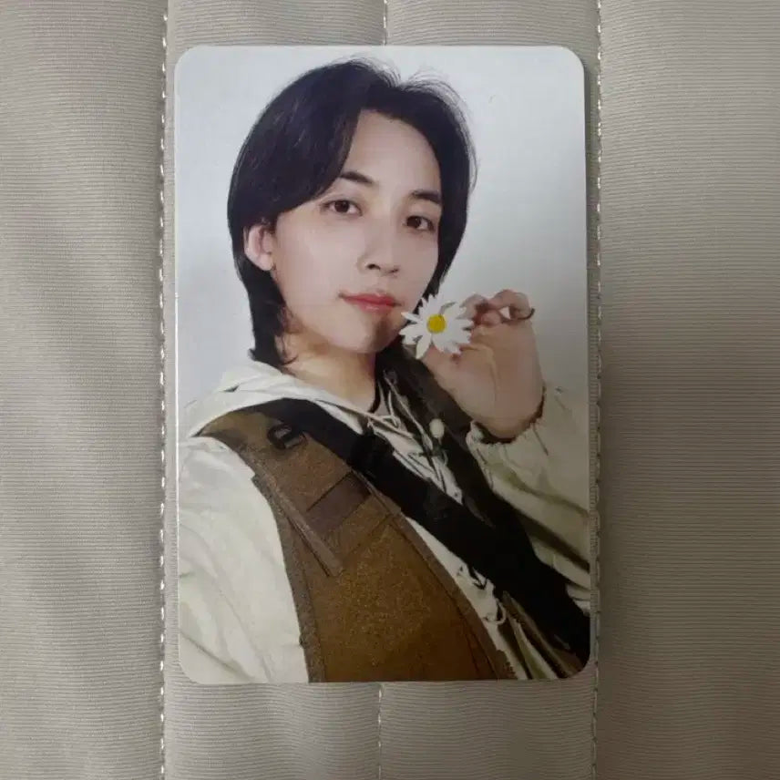 세븐틴 정한 고잉 양도