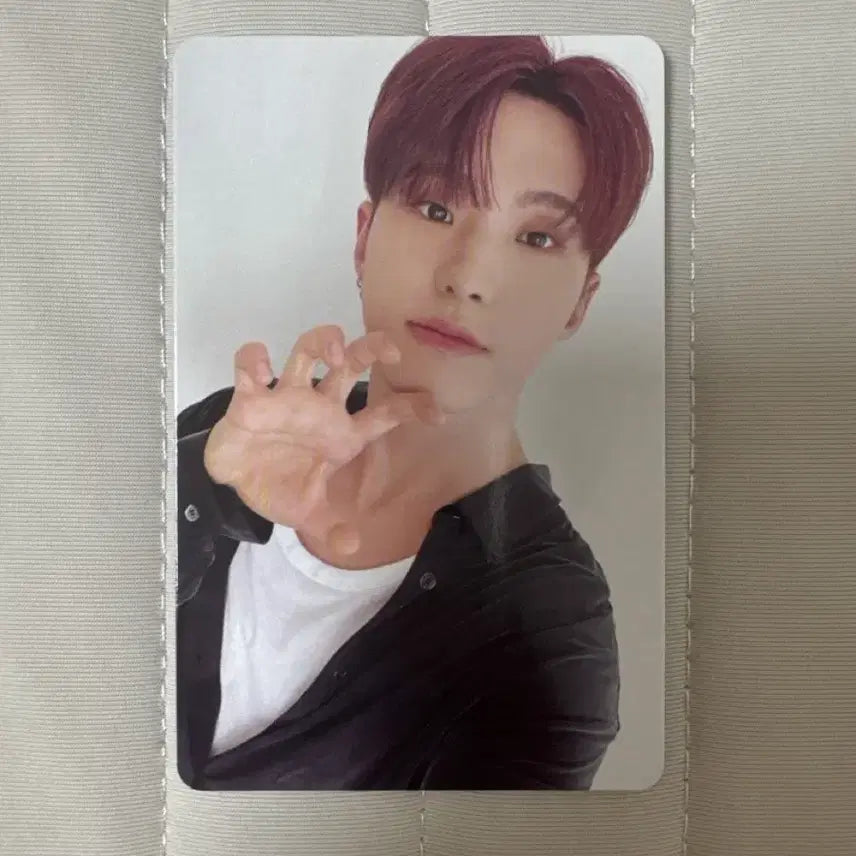 세븐틴 호시 2024 시그 양도