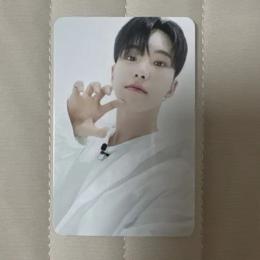 세븐틴 호시 고잉 양도