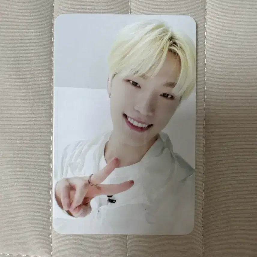 세븐틴 디노 고잉 양도