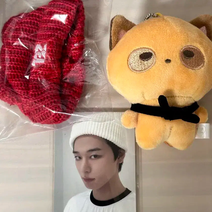 더보이즈 선우 제너레이션 MD 인형 양도