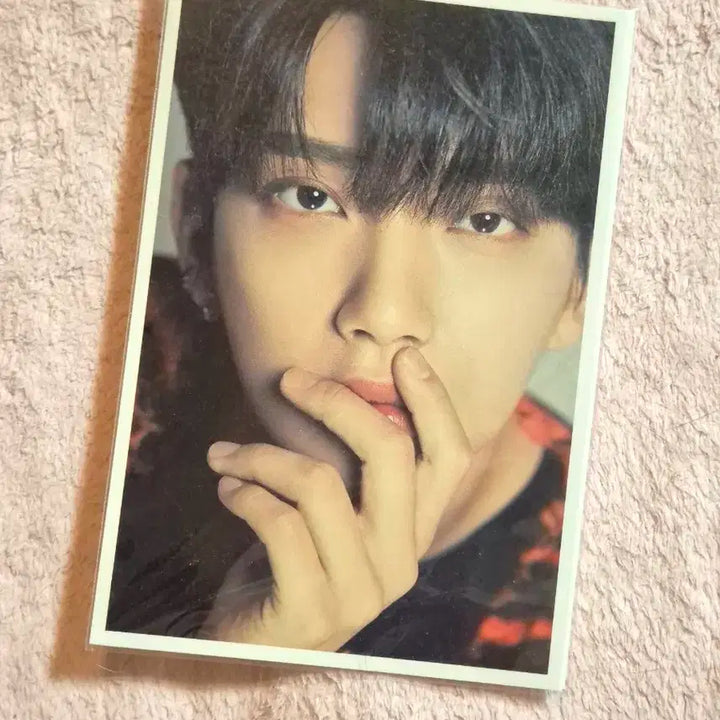 세븐틴 디아이콘 디페스타 포스트카드 조슈아 미개봉