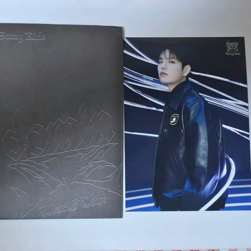 승민 Seungmin dominATE JAPAN 랜덤 트레이딩 카드