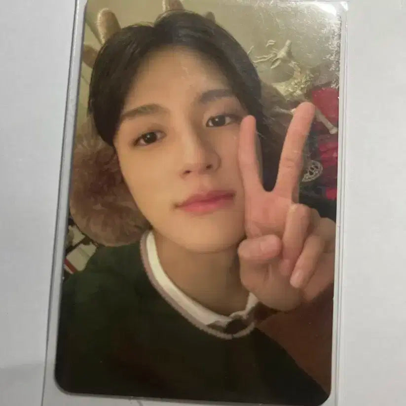 핑크 크리스마스 제노