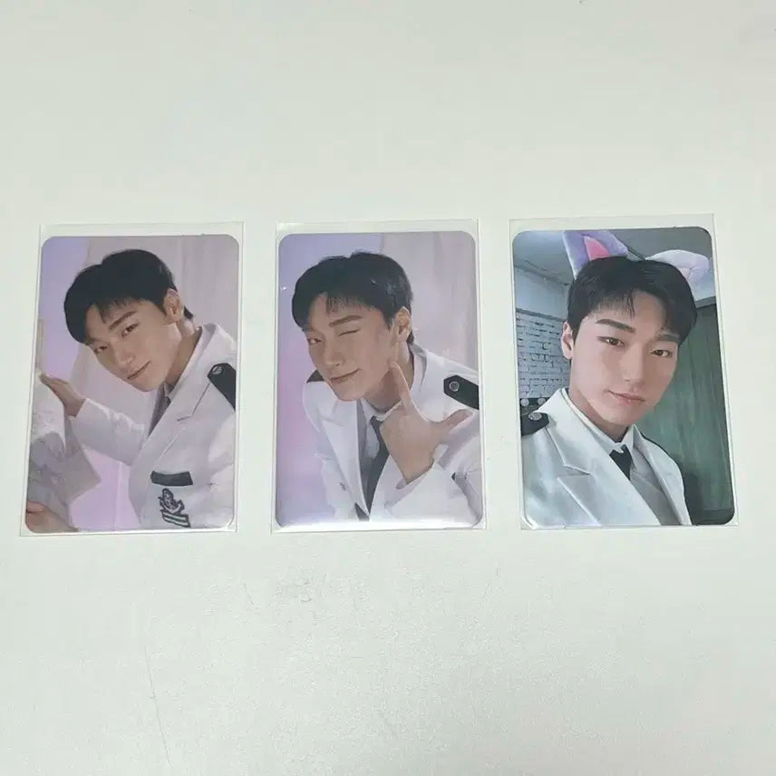 애니티즈 일루젼 최산 일괄