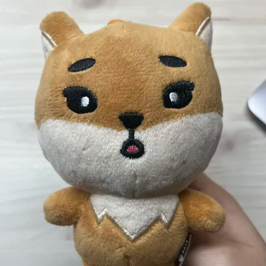 데니멀즈 22케 케둥이