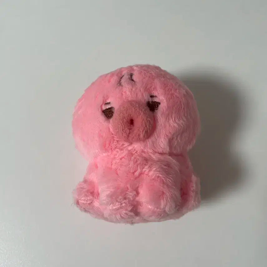 더보이즈 선우 인형 떤코