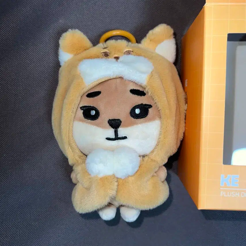 데이식스 데멀 케이프