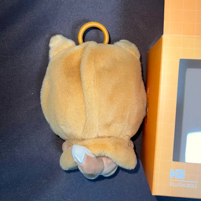 데이식스 데멀 케이프