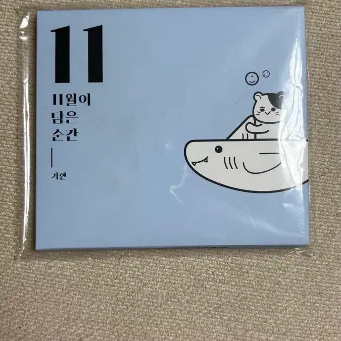몬스타엑스 11월이 담은 순간 폴라 양도