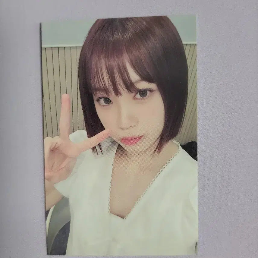 르세라핌 크레이지 썬더 파티 채원 포카 양도
