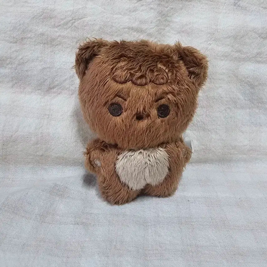 nct 엔시티 인형 해찬 쨘곰이,꼼찬이