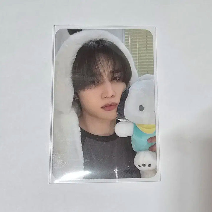 더보이즈 선우 VVV 덥챠코 럭드 양도