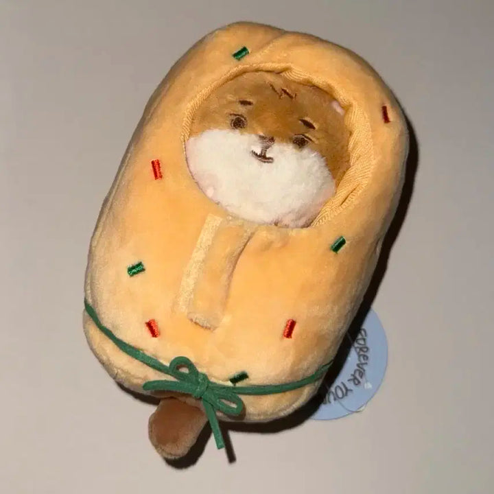 부산콘 어묵옷 어묵코스튬 데이식스