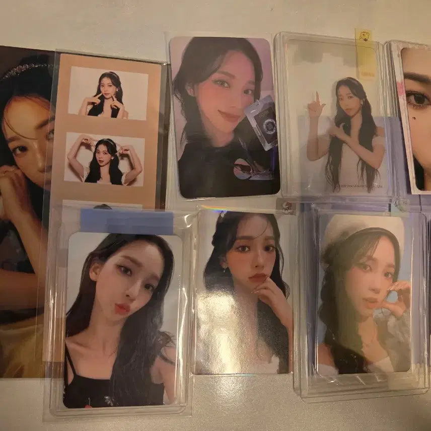 카리나 시그 포카 일괄
