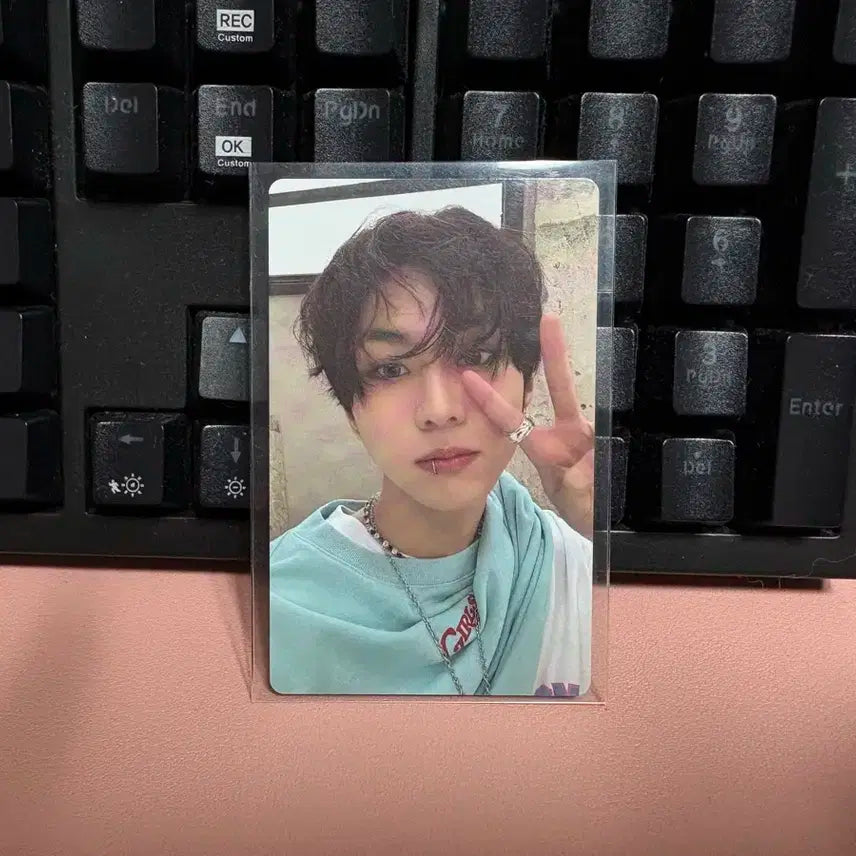 엔하이픈 정원 포카