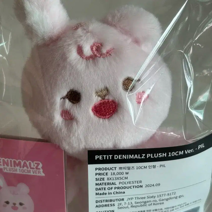 데이식스 쁘띠멀즈 필