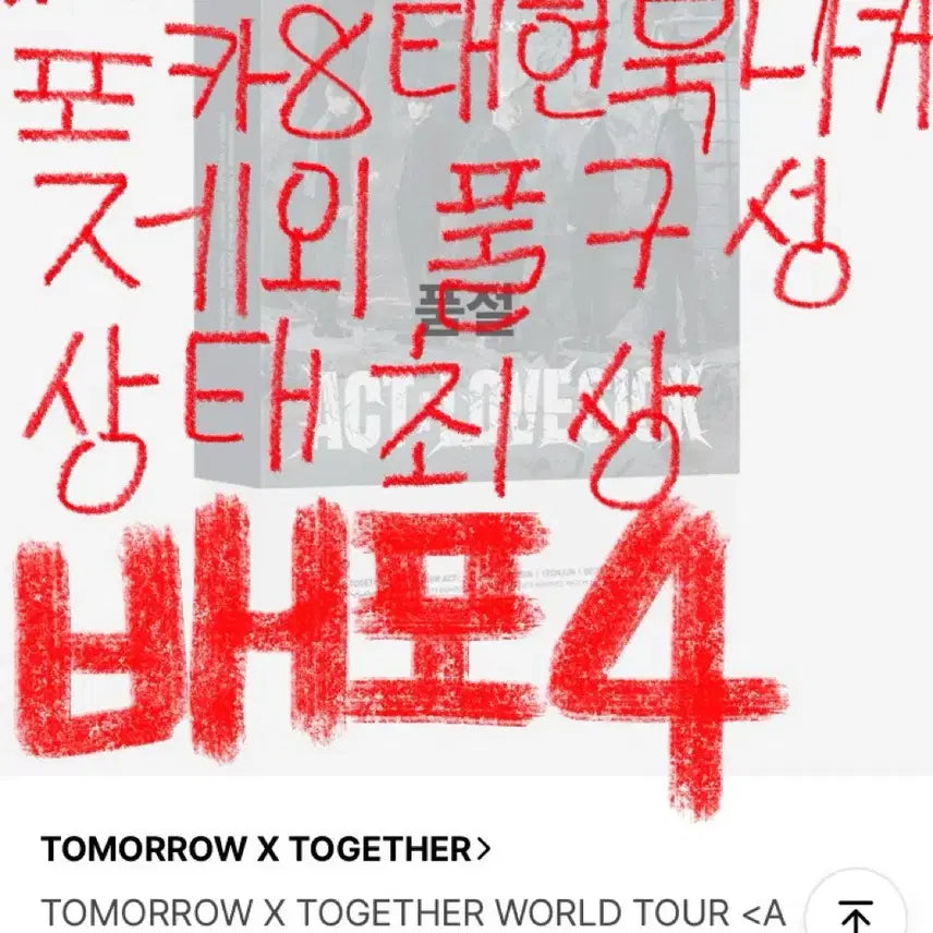 럽식콘 디비디