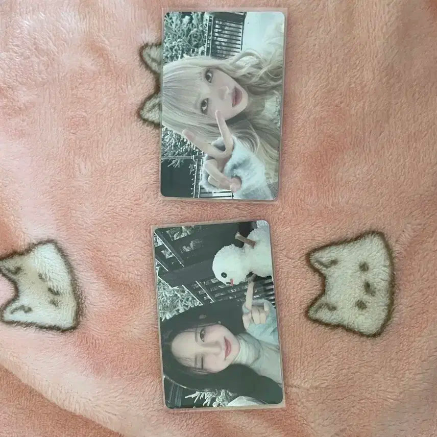 아이브 한정판 가로 포카 가을, 리즈 2장 세트