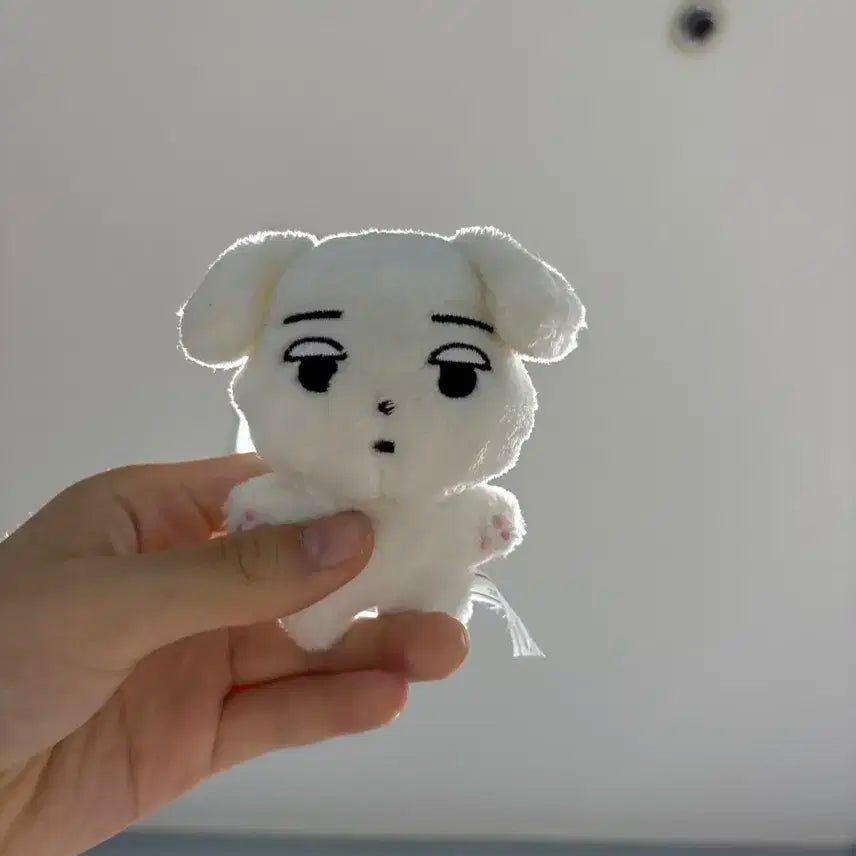 직직이 팔아요