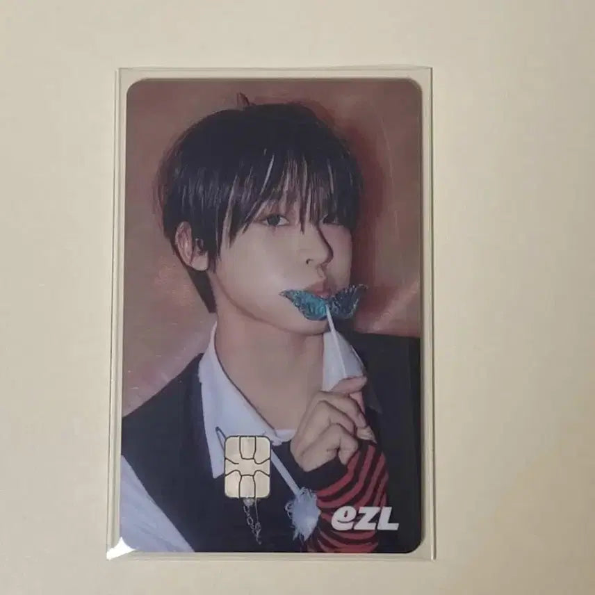 엔시티 위시 엔위시 ezl 리쿠 교통카드 교카 개봉 양도