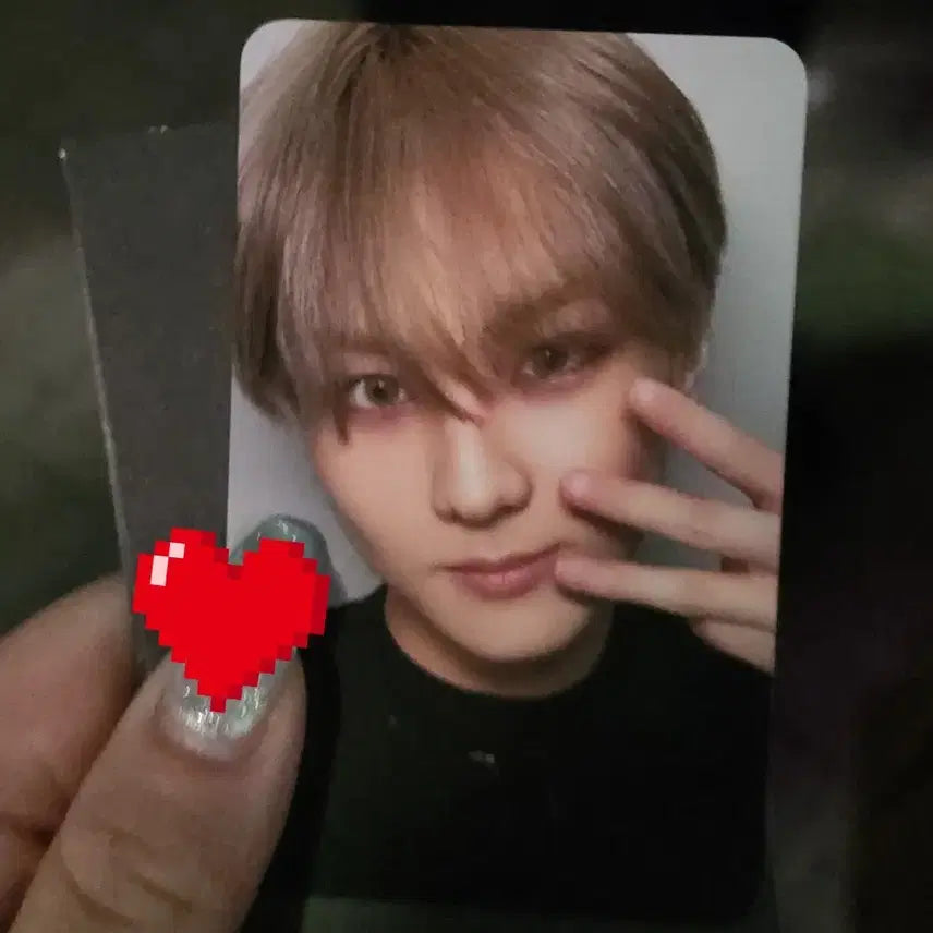 엔하이픈 배드디자이어 정원 공방포카 판매