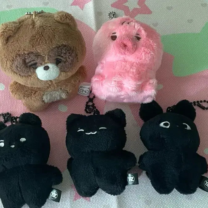 더보이즈 현재 주연 선우 인형 떤코 쪼구리