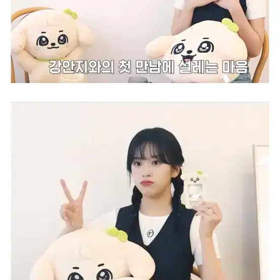 강안지 파우치(아이브 안유진)새상품